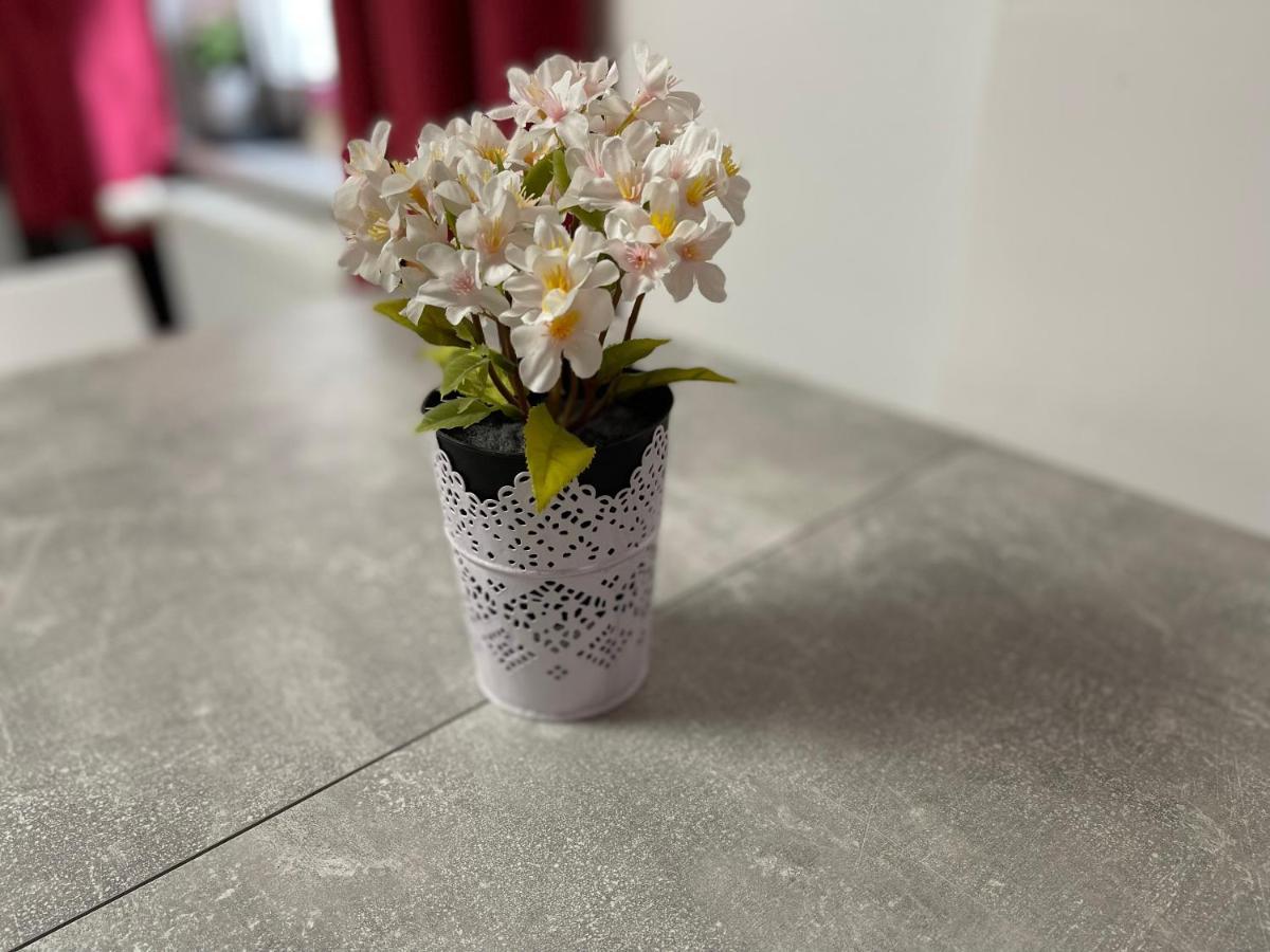 Apartament Tiny House Burig Zewnętrze zdjęcie